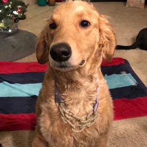 LOFT Ribbon-Tie Beaded “chain” necklace